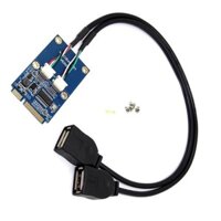 Bt Nhỏ PCIE Sang Hai USB2 0 Bộ Chuyển Đổi Tốc Độ Nhanh Hiệu Suất Cho Laptop Máy Tính Bo Mạch Chủ