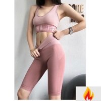 (BT02) Bộ Tập GYM -YOGA  Hàng Quảng Châu -Cao Cấp - Chất Dệt Kim -ljg*H