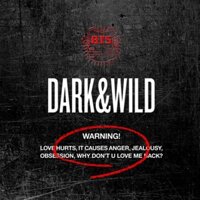 BTS - 1st Full Album [DARK&WILD]