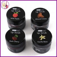 [Bu123]  TẨY TẾ BÀO CHẾT MÔI LIP SCRUB