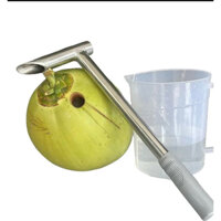 Búa Đục Dừa