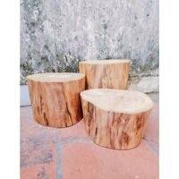 Bục gỗ bóc vỏ cao 15cm-30cm đk 22-24cm