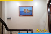 Bức tranh cảnh đẹp hòn Trống Mái vịnh Hạ Long AmiA HL120