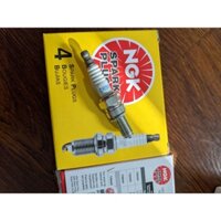 Bugi CR9EB (NGK Spark Plug)