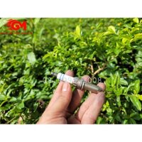 Bugi đánh lửa cho xe Peugeot