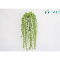 Bụi cây lá mắc trâu rũ cây giả số 66 TTTM