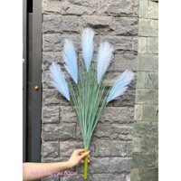 Bụi cỏ lau trang trí nhiều màu sắc