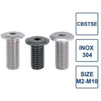 Bulong Chìm Đầu Sao Cực Mỏng CBSTSE10-16 [Hộp 10 con]