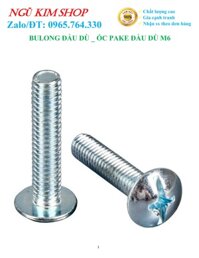 BULONG ĐẦU DÙ  ỐC PAKE ĐẦU DÙ M6 - M6 x 1050 CON