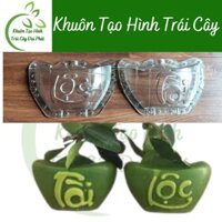 (Bưởi 0,9-1,1kg, khuôn cứng loại TỐT)10Khuôn Bưởi Thỏi Vàng Số 1, Chữ Tài Lộc, Khuôn Tạo Hình Trái Cây Đẹp dùng nhiều vụ