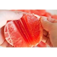 BƯỞI DA XANH RUỘT HỒNG