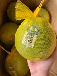 Bưởi Năm roi Vĩnh Long chuẩn xịn