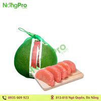 Bưởi trụi hồng da xanh (100gr)