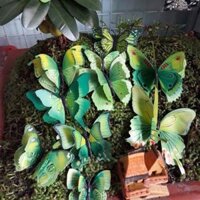 Bướm bộ cài tóc cô dâu - bướm bộ trang trí - Xanh lá 10 con