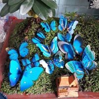 Bướm bộ cài tóc cô dâu - bướm bộ trang trí - Xanh biển 10 con