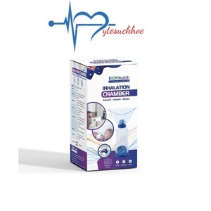 Buồng đệm khí dung BioHealth BH01