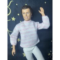 Búp Bê Ken full Khớp