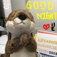 Búp bê Rái cá nhỏ dễ thương Búp bê đồ chơi nhồi bông gối ôm quà sinh nhật cho bé gái quà giáng sinh