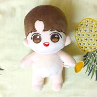 Búp bê thần tượng BTS JUNGKOOK Mini Kook doll 20cm