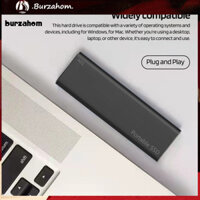 Bur Dung Tích Lớn Ssd Di Động Tốc Độ Cao Ssd Siêu Nhanh Type-c Ssd Ổ Đĩa Ngoài 1t / 2t / 4t Di Động Nhỏ Gọn Tốc Độ Cao Truyền Dữ Liệu Cho Người Mua Đông Nam Á