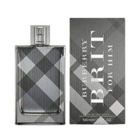 Burberry Brit For Men 100ml EDT