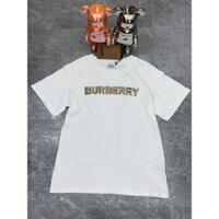 Burberry2643 Phong Cách Mới Phù Hợp Với Chữ Cổ Tròn Áo Thun + Retro Kẻ Sọc Xếp Ly Váy Nữ