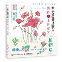 Bút Chì Màu Vẽ Tranh Bằng Tay Chuyên Dụng