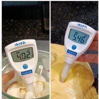 Bút Đo pH Trong Bột Nhão Làm Bánh Mì HI981038