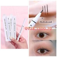 BÚT KẺ MẮT NƯỚC KHÔNG TRÔI  Karadium Waterproof Brush Liner  0.55g