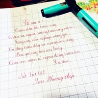 Bút mài Nét Việt siêu kim tinh 068 calligraphy