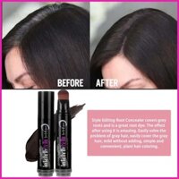 Bút Nhuộm Tóc Di Động Màu Trắng Không Rửa Tóc Bổ Sung Bút Màu Dễ Dàng Sử Dụng Nhuộm Tóc Nhanh Lâu Dài hontinvn