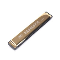 Buytra Shinning Ngày 24 Lỗ Key Của C Chơi Harmonica Kèn Harmonica Tremolo Kèn Ác Mô Ni Ca Hai Hàng Nhạc Blues