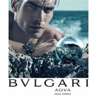 Bvlgari Aqva Pour Homme Eau de Toilette 100ml Nam