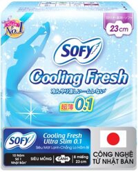 BVS Sofy Cooling Feeling 8 miếng 23cm