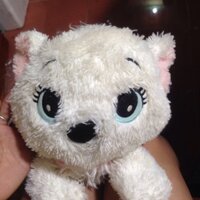 C ty chuọt