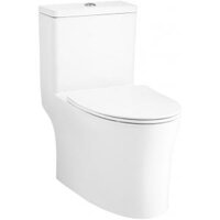 C105607 Bồn cầu COTTO 01 khối VISTRA