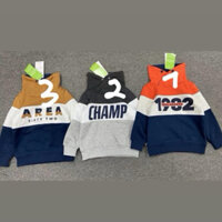 C3786 Áo nỉ cổ cao hàng đẹp cho bé 2-8y [Keinnier] X09-013