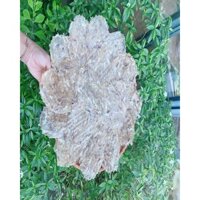 Cá Bò Khô Quảng Nam