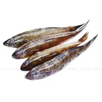 Cá bống cát 500g