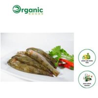 Cá Bống Cát Ngr 400Gr