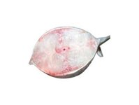 Cá bớp (cắt lát)