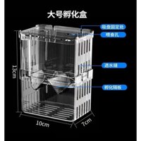 Cá cách ly hộp cá bảy màu giống hộp hiện vật nhỏ cá con nở cá mẹ acrylic cá cơm vị thành niên sinh