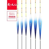 Cá chép nhỏ Wuhan Tianyuan Langjian có sẵn ở Việt Nam, phao toàn diện, độ nhạy cao, đuôi phẳng bắt mắt, đuôi dày, phao cá chép nano **-*