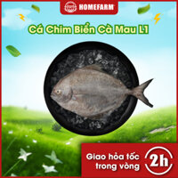 Cá Chim Biển Cà Mau L1