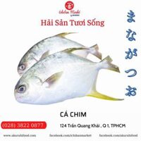 Cá Chim Biển Kg