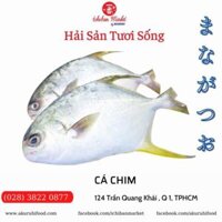 Cá Chim Biển