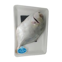 Cá chim trắng làm sạch (1 kg)