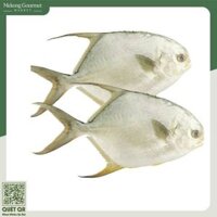 Cá Chim Trắng làm sạch PGP 400g