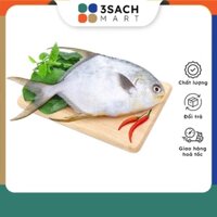 Cá Chim Trắng Nhỏ Size 0.5-0.7 (Kg)