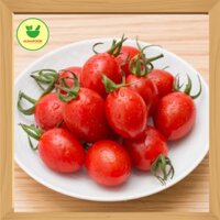 Cà chua bi đỏ CP Đà Lạt – 100g